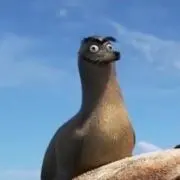 悟空
