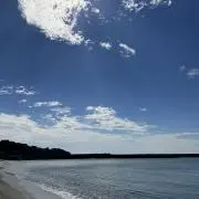 RINの画像