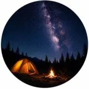 TOMO_shopの画像