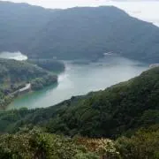 kuroの画像