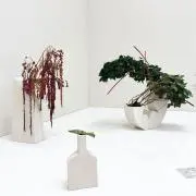 かとうの画像