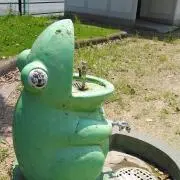 sy875の画像