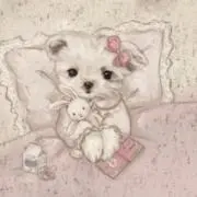 puppynn