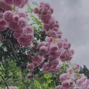 ♡