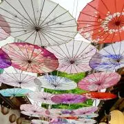 ひなこの画像