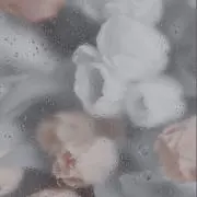 miiの画像