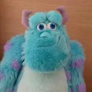 サリーSANの画像