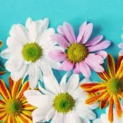 a.の画像