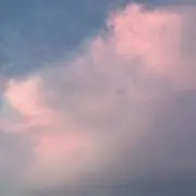 fuの画像