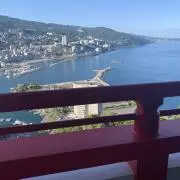 レイの画像