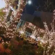 ダムダム