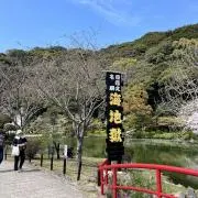 むしむしの画像