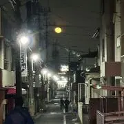 ゆりの画像