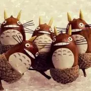 どんぐりさん