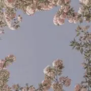satoの画像