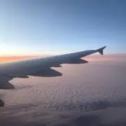 ♪(๑ᴖ◡ᴖ๑)♪の画像