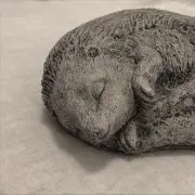 プフの画像
