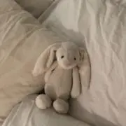 さたぱんびんの画像