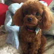 ミユママ