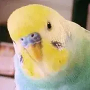 ハッピーくん❤︎