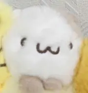 しゅまあの画像