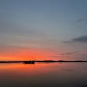 hideの画像