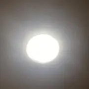 NAYの画像