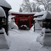 ななみshopの画像