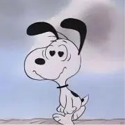 めの画像