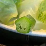 Lieaの画像