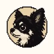 Guraの画像