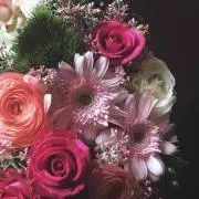 mee.の画像
