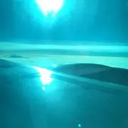 はんたかぶの画像