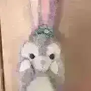 ぽちの画像