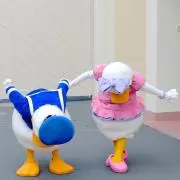 空愛　プロフ必読の画像