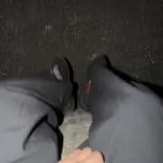 sinの画像