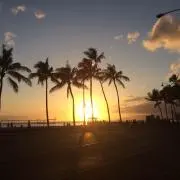 きくなんの画像