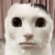 あう