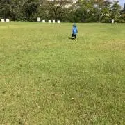 ichi junの画像
