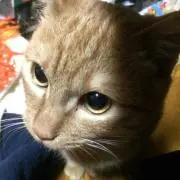 もっちぃ