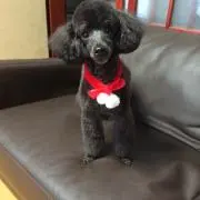 ネオ