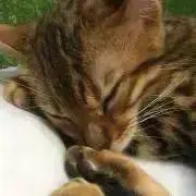 Hi!_to_Mi! (*^^)vの画像