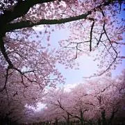 激安!!お譲り中!!