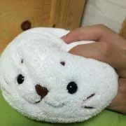 しゅんすけの画像