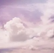 ぴんのの画像