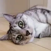 プロフ一読☆たいとん