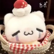 s28ilyの画像