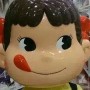 ヤマネコの画像