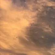 しなごめ