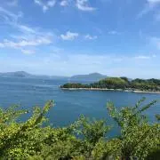 トマトの画像